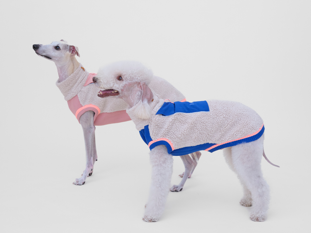 Whippet im Sherpa-Hundepullover in Beige mit Rosé und Bedlington Terrier in Beige mit Blau, Seitenansicht