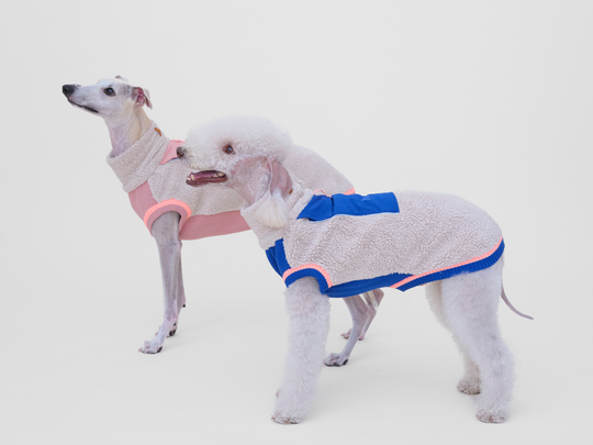 Whippet im Sherpa-Hundepullover in Beige mit Rosé und Bedlington Terrier in Beige mit Blau, Seitenansicht