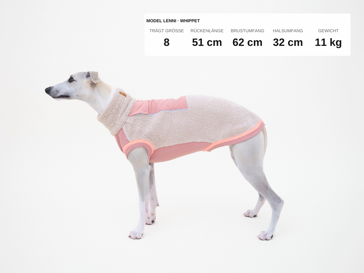 Teddy Hundepullover aus Sherpa in Beige mit Rosé, warm gefüttert, für Dackel, Windhunde und viele Hunderassen von lumiies