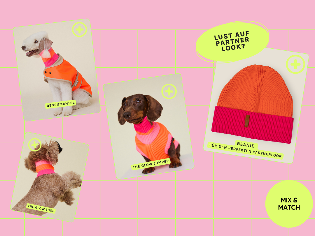 Sunny Tangerine Farbkombination