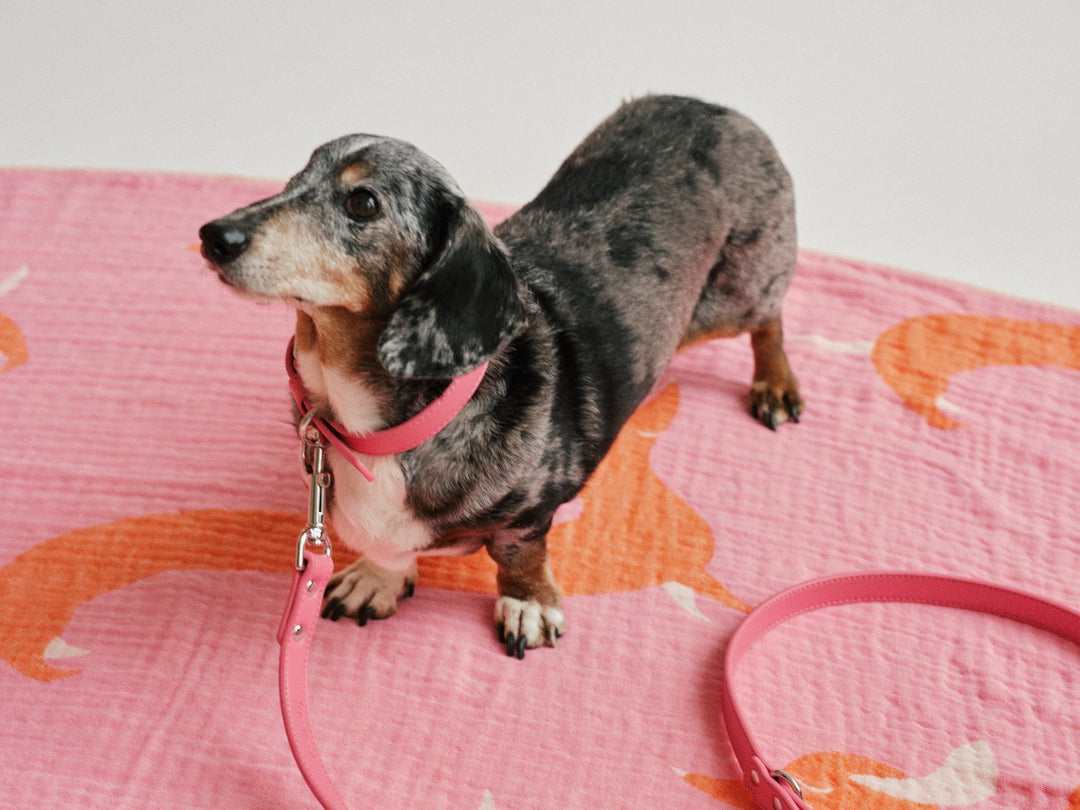 THE BEACH BAG (Strandtuch + Beutel) - Pink Doxie - lumiies - high visibility