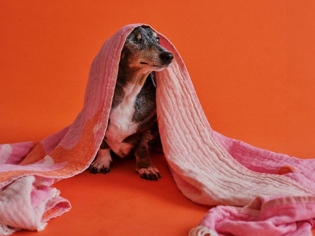 THE BEACH BAG (Strandtuch + Beutel) - Pink Doxie - lumiies - high visibility