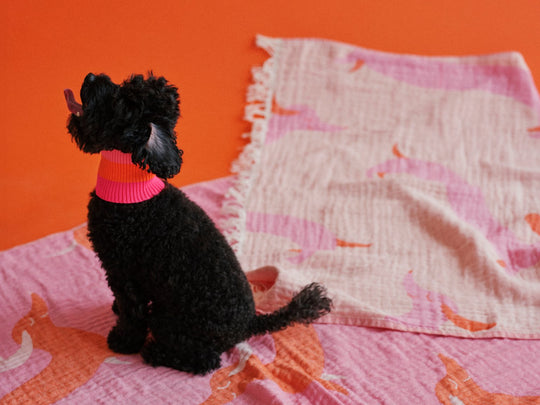 THE BEACH BAG (Strandtuch + Beutel) - Pink Doxie - lumiies - high visibility