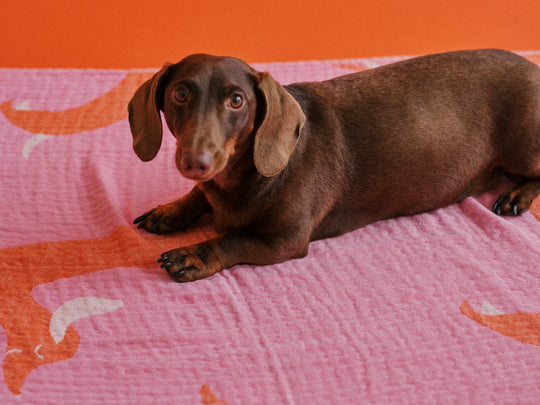 THE BEACH BAG (Strandtuch + Beutel) - Pink Doxie - lumiies - high visibility