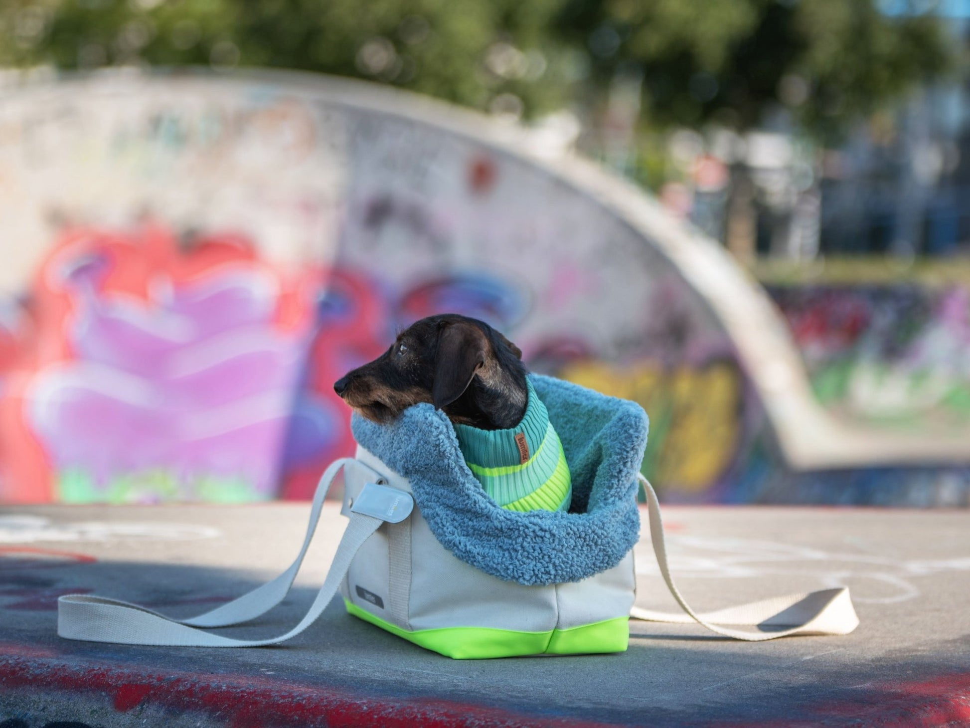 THE CANVAS BAG (Hundetragetasche für kleine Hunderassen) - lumiies - high visibility