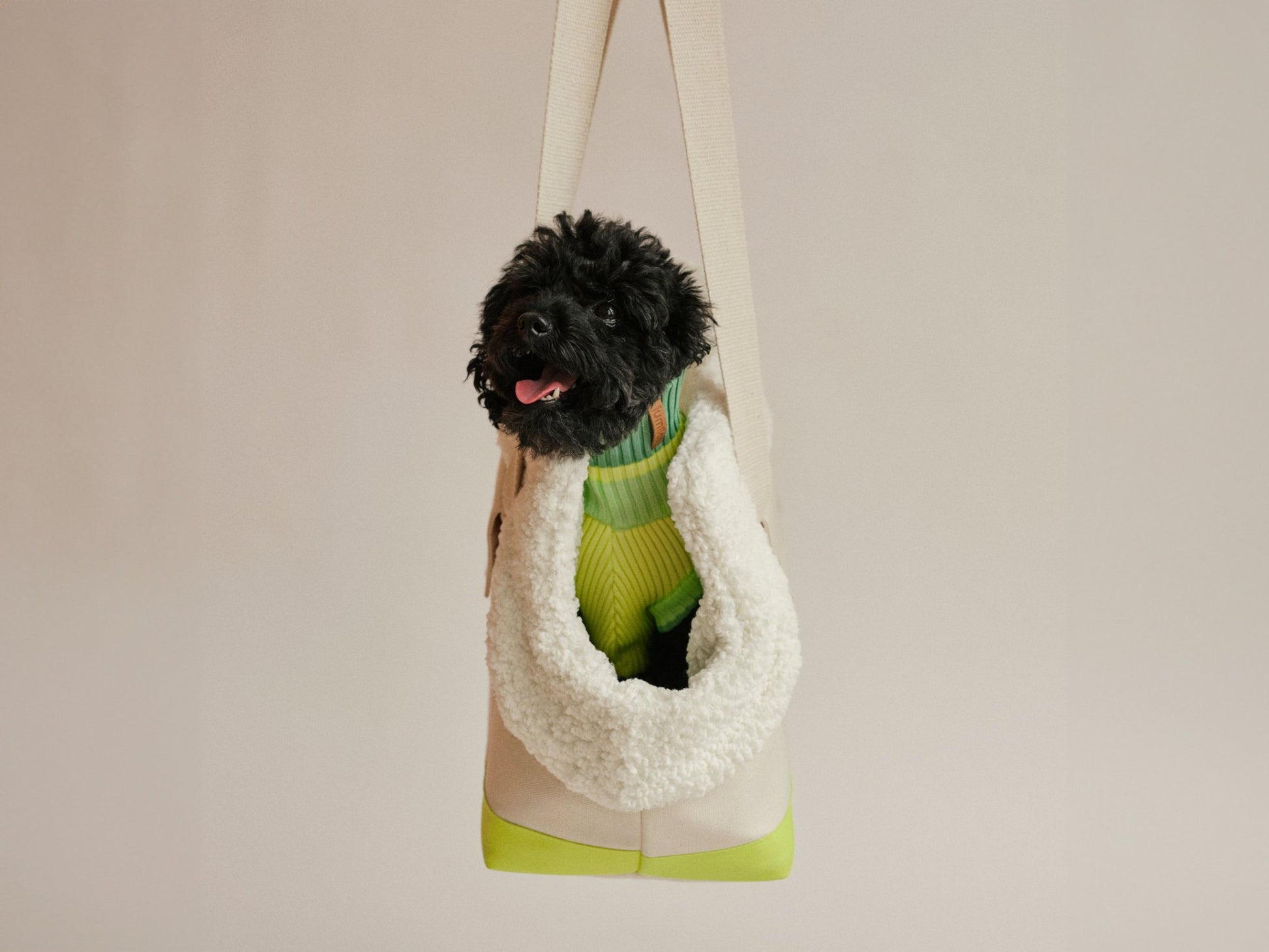 THE CANVAS BAG (Hundetragetasche für kleine Hunderassen) - lumiies - high visibility