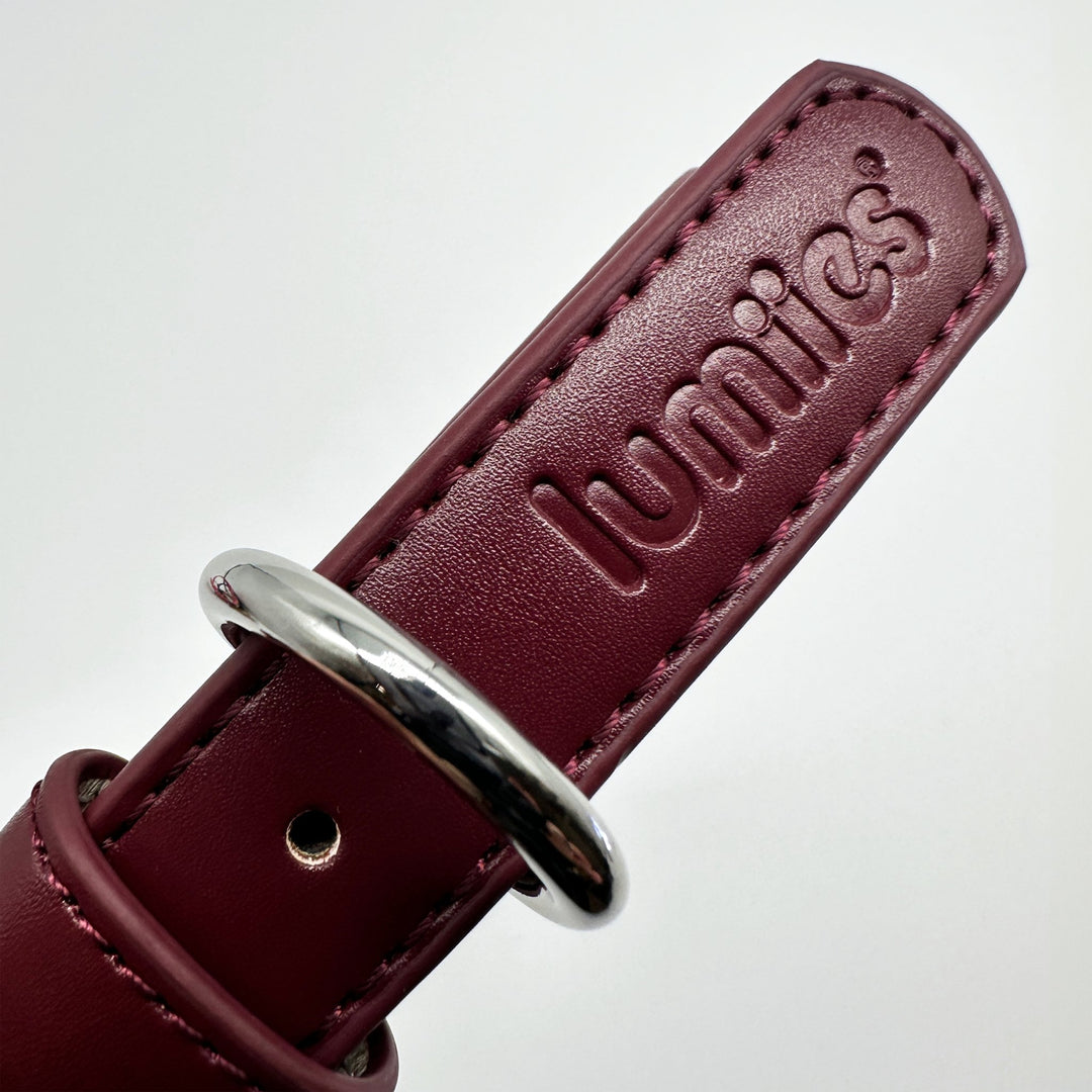 THE CITY COLLAR (burnished burgundy) - Hundehalsband vegan - lumiies - high visibility