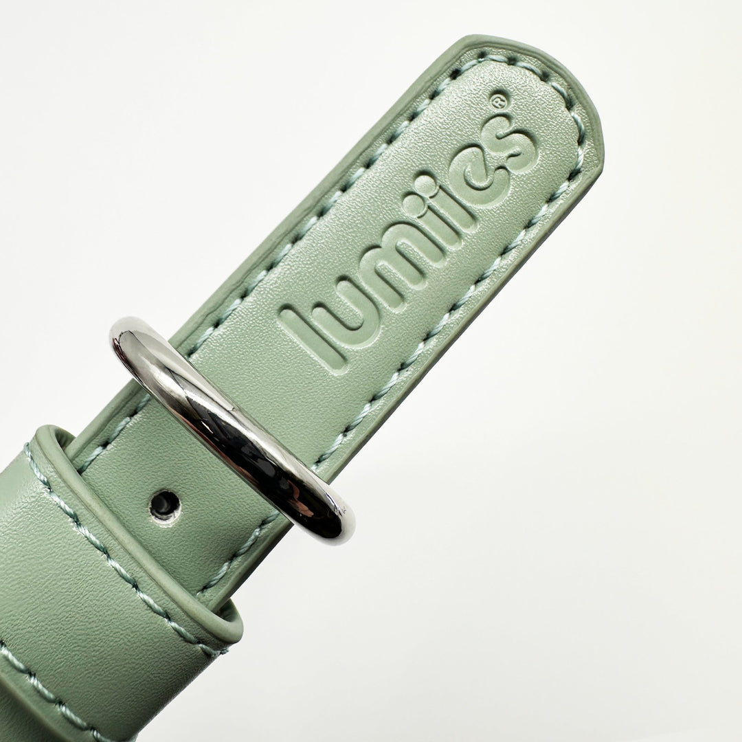 THE CITY COLLAR (silky sage) - Hundehalsband vegan - lumiies - high visibility