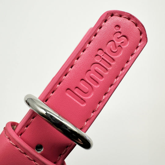 THE CITY COLLAR (strawberry shake) - Hundehalsband vegan - lumiies - high visibility