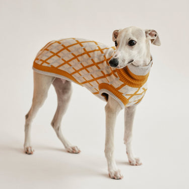 THE COTTON JUMPER - scandinavian (Hundepullover) - lumiies - high visibility