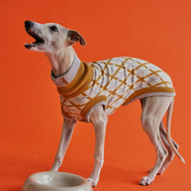 THE COTTON JUMPER - scandinavian (Hundepullover) - lumiies - high visibility