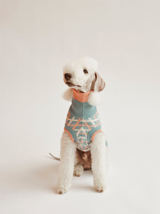 THE COTTON JUMPER - teal (Hundepullover) - lumiies - high visibility