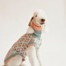 THE COTTON JUMPER - teal (Hundepullover) - lumiies - high visibility