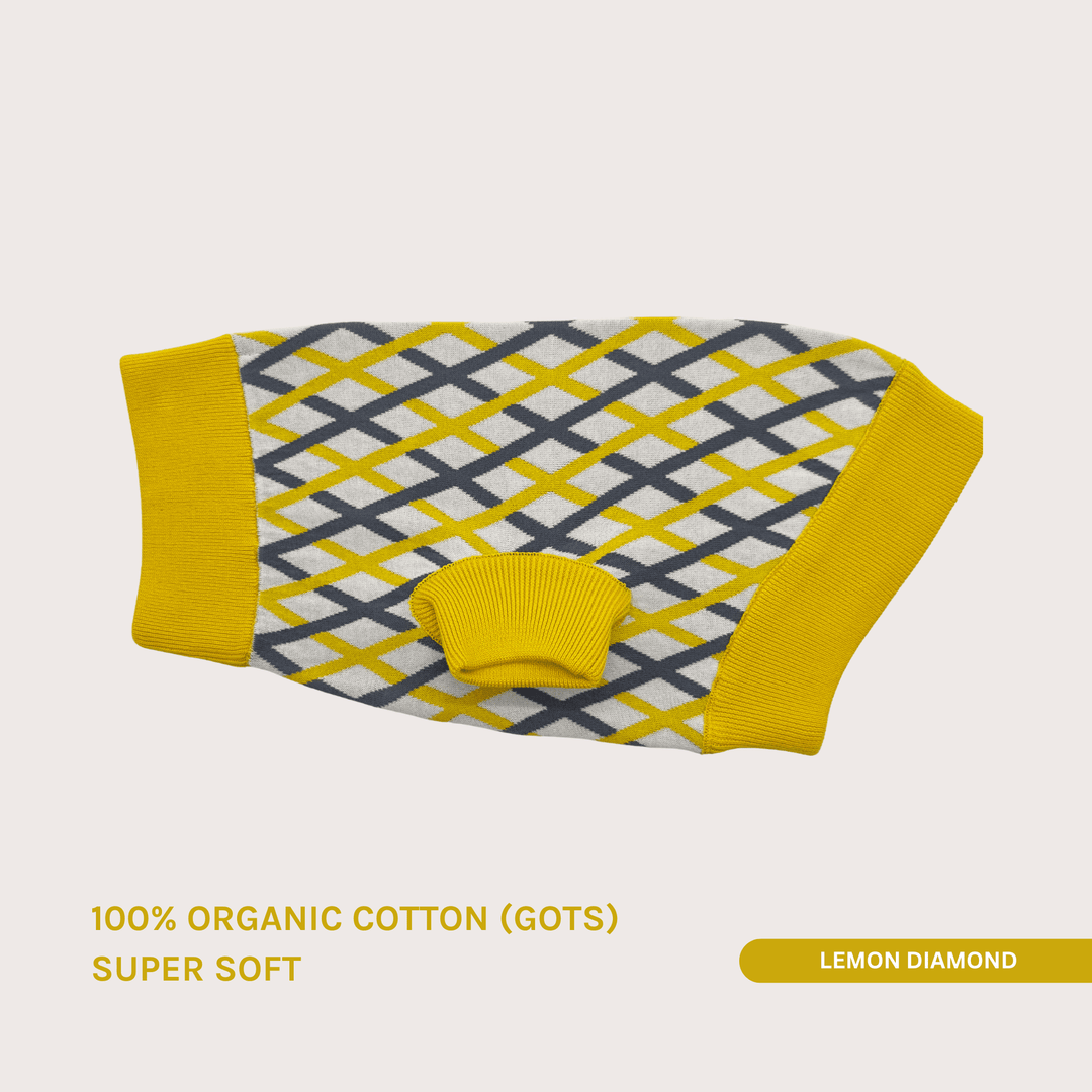 THE COTTON JUMPER (X - MAS Edition) - lumiies - high visibility