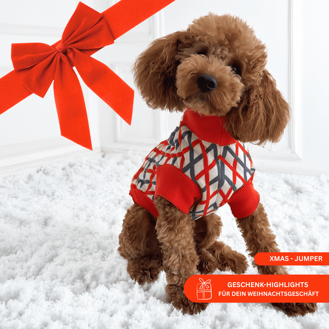 THE COTTON JUMPER (X - MAS Edition) - lumiies - high visibility