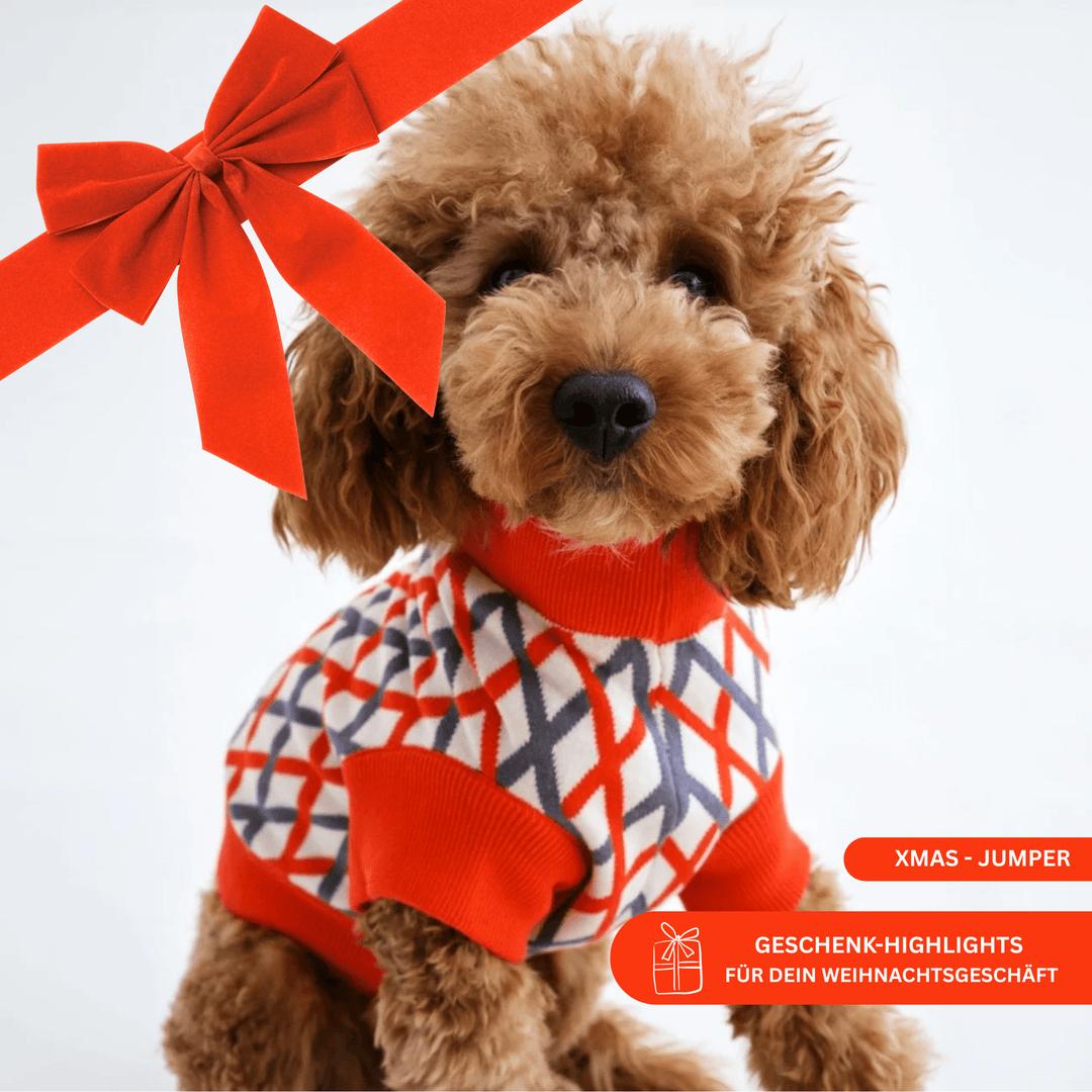 THE COTTON JUMPER (X - MAS Edition) - lumiies - high visibility