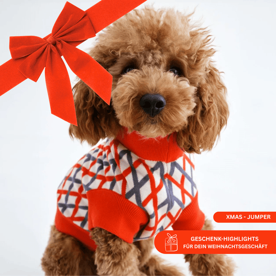 THE COTTON JUMPER (X - MAS Edition) - lumiies - high visibility