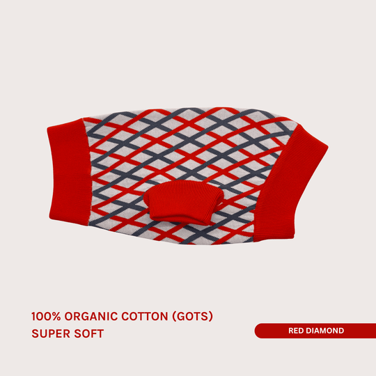 THE COTTON JUMPER (X - MAS Edition) - lumiies - high visibility