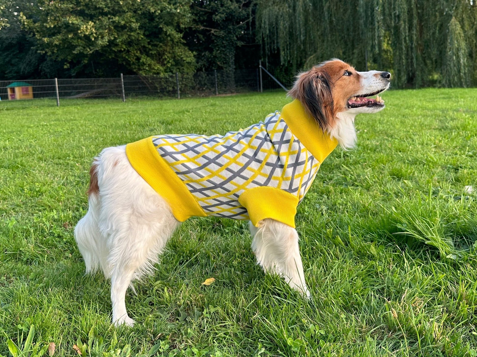 THE CROPPED COTTON JUMPER (Hundepullover) - lumiies - high visibility