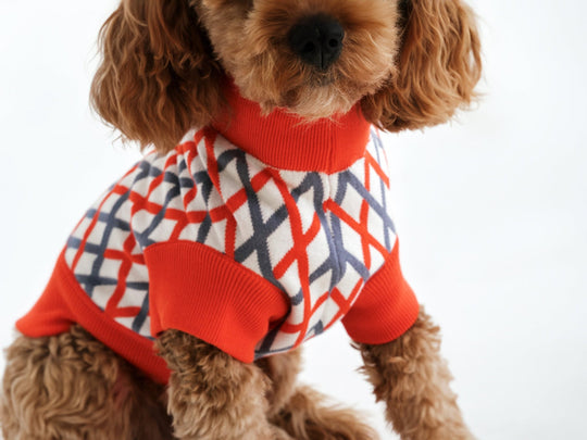 THE CROPPED COTTON JUMPER (Hundepullover) - lumiies - high visibility