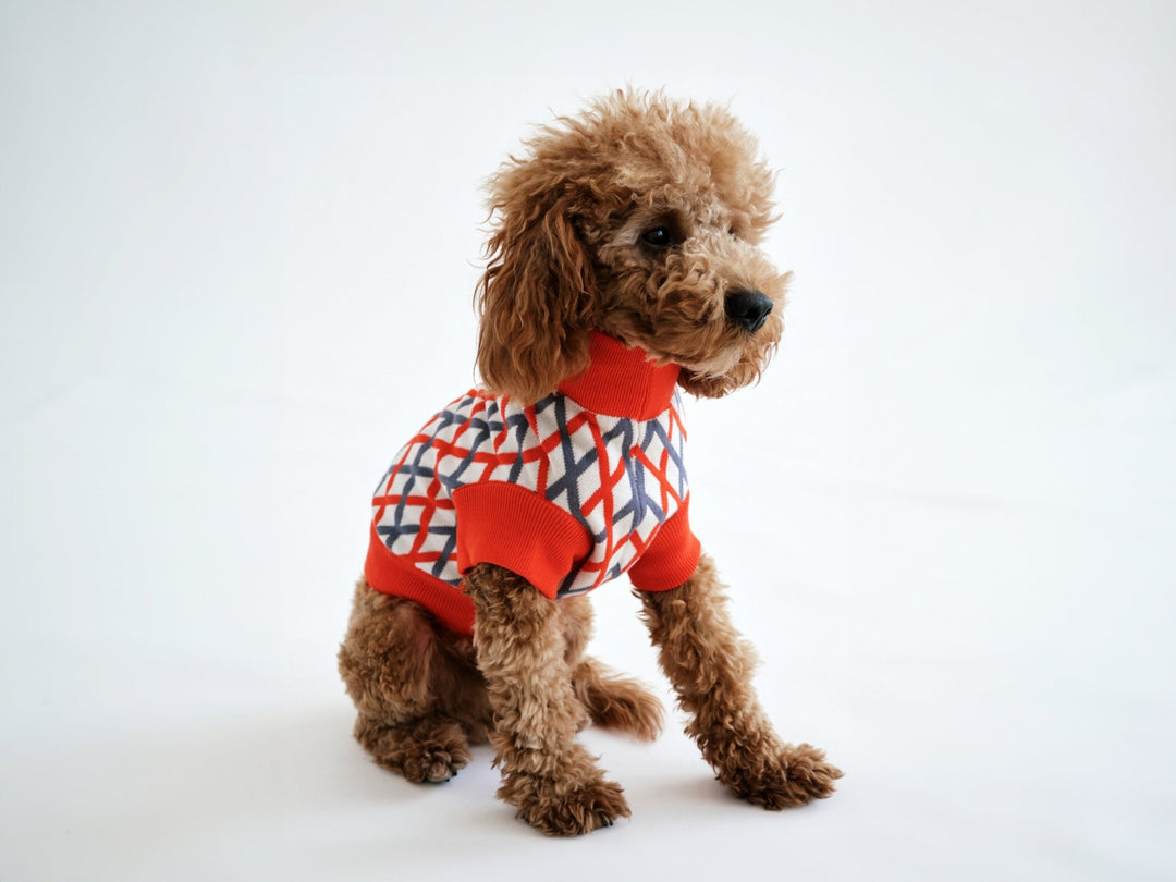 THE CROPPED COTTON JUMPER (Hundepullover) - lumiies - high visibility