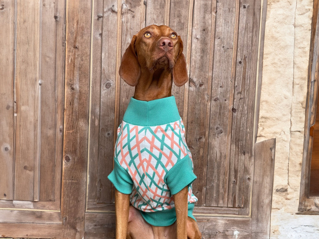 THE CROPPED COTTON JUMPER (Hundepullover) - lumiies - high visibility