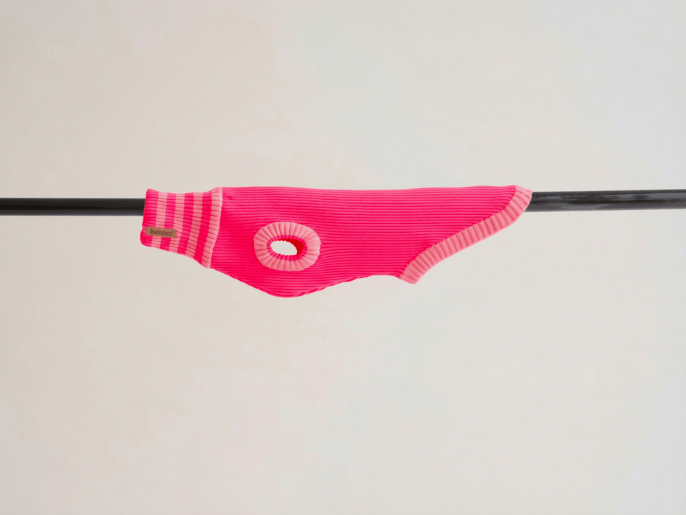 THE GLOW JUMPER 2.0 - Neon Hundepullover - (Pink Parade) - lumiies - high visibility