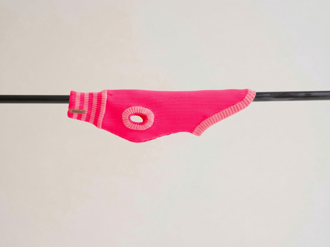 THE GLOW JUMPER 2.0 - Neon Hundepullover - (Pink Parade) - lumiies - high visibility