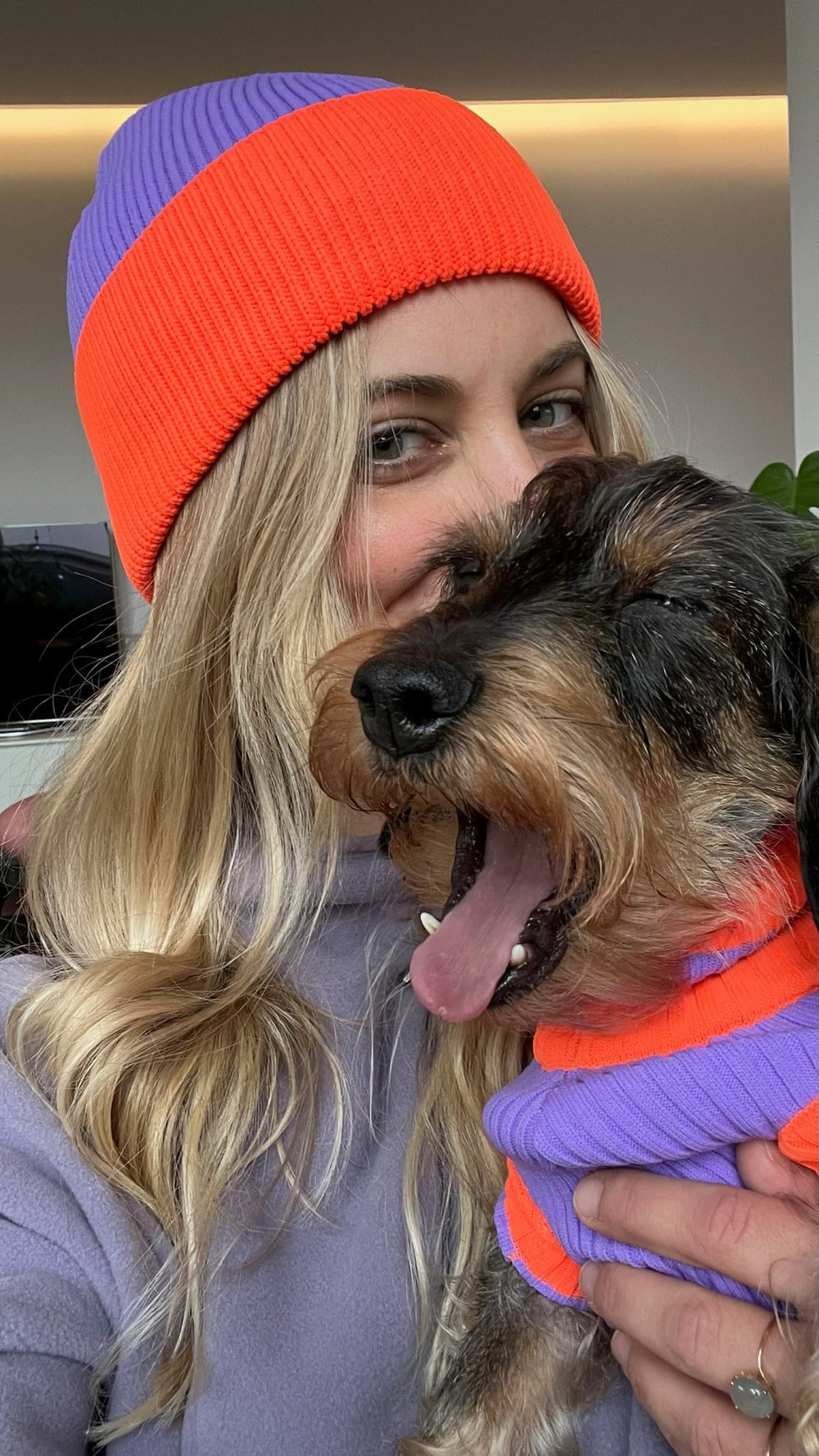 THE GLOW JUMPER 2.0 - Neon Hundepullover - (Poppy Lavender) - lumiies - high visibility