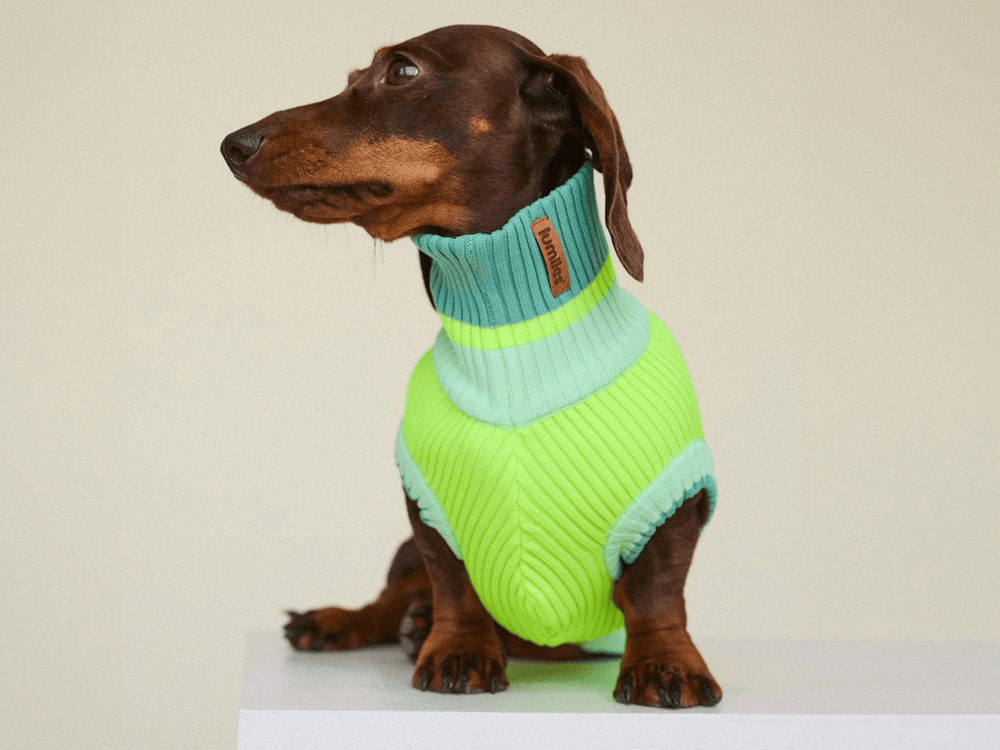 THE GLOW JUMPER 2.0 Neon Matcha von lumiies, Neon-Hundepullover
