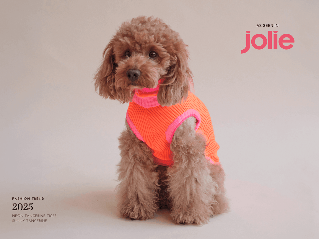 Glow Jumper 2.0 Neon Orange – Hundepullover für Windhunde, Whippet & italienisches Windspiel. Pudel und Dackel