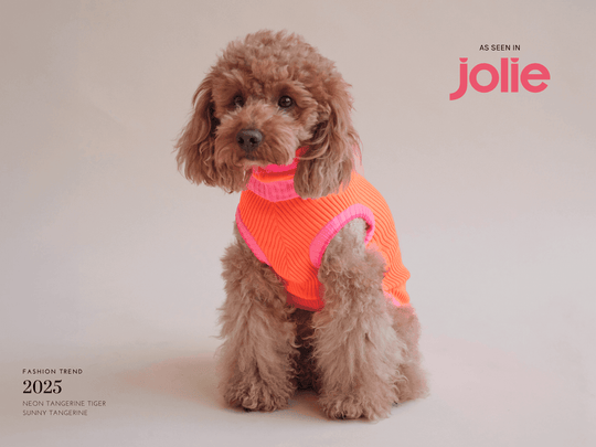 Glow Jumper 2.0 Neon Orange – Hundepullover für Windhunde, Whippet & italienisches Windspiel. Pudel und Dackel