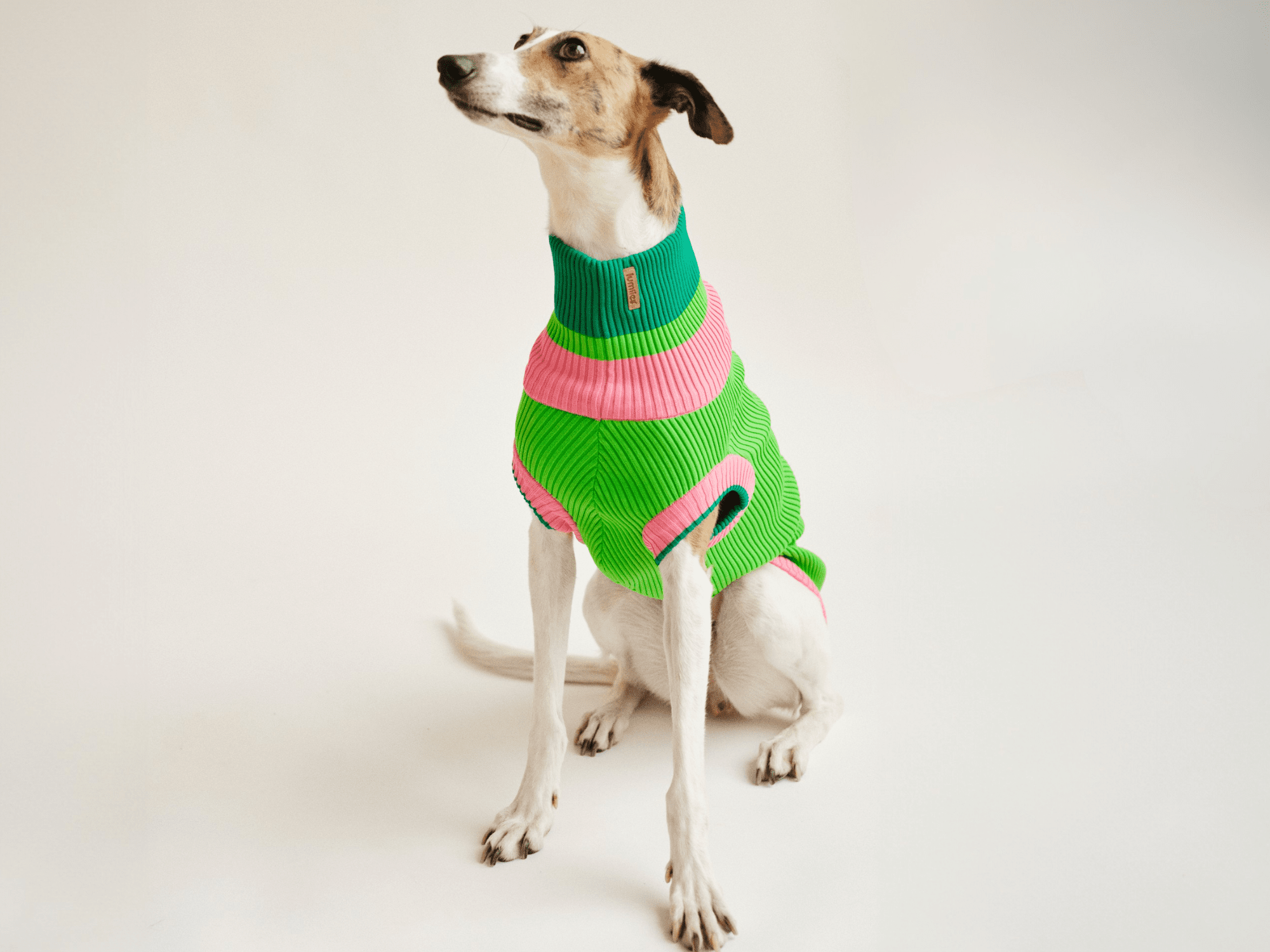 Neon Hundepullover für Windhunde – Glow Jumper 2.0 Watermelon Crush, für Galgo, Whippet & italienisches Windspiel, Dackel