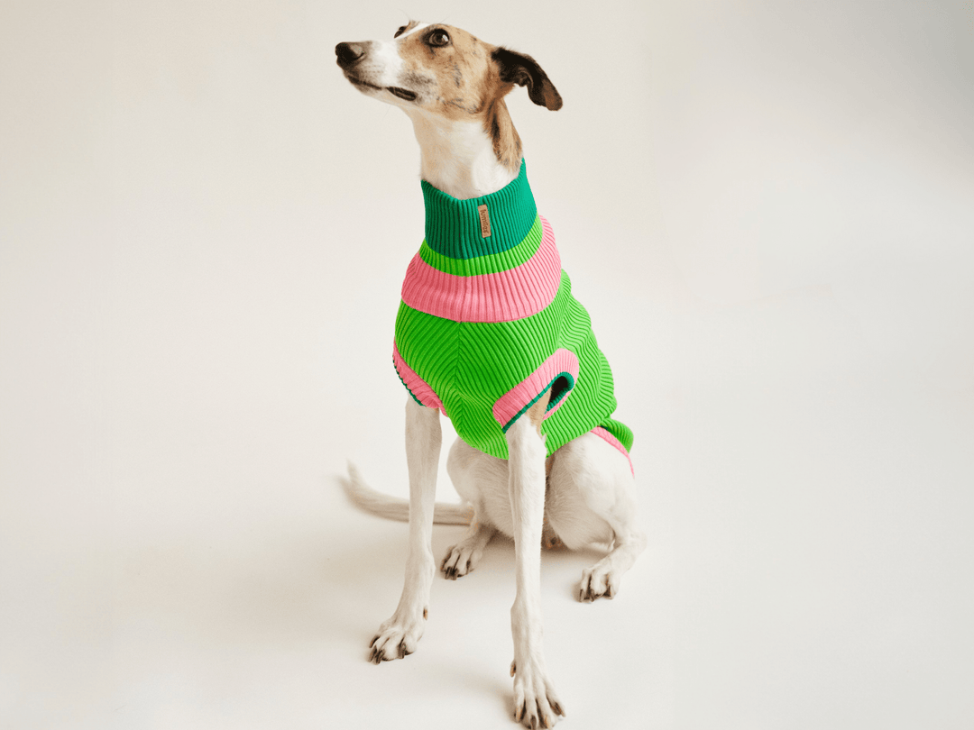 Neon Hundepullover für Windhunde – Glow Jumper 2.0 Watermelon Crush, für Galgo, Whippet & italienisches Windspiel, Dackel