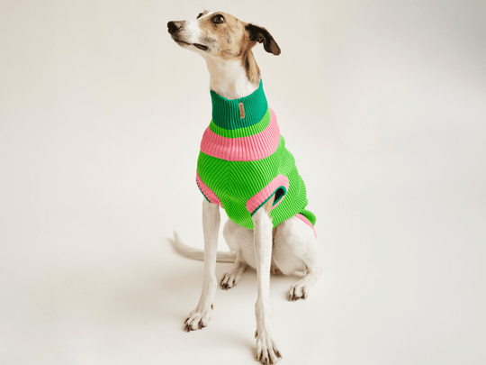 Neon Hundepullover für Windhunde – Glow Jumper 2.0 Watermelon Crush, für Galgo, Whippet & italienisches Windspiel, Dackel