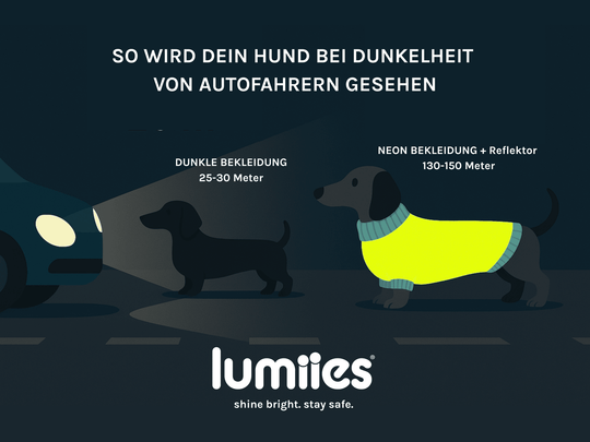 Magnetic Glow Tag von lumiies® – reflektierender Clip für Hundebekleidung, Halsband & Geschirr