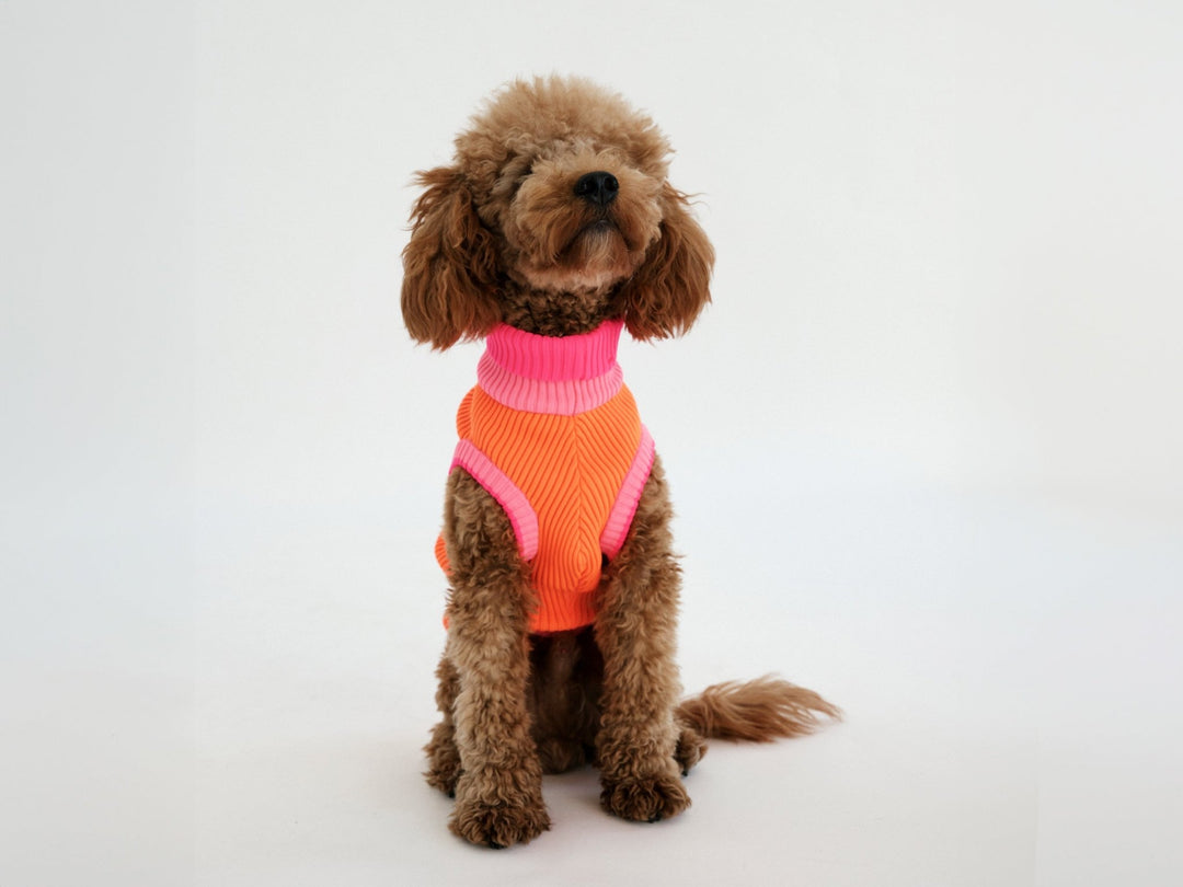 THE GLOW JUMPER - hochelastischer Neon Hundepullover - lumiies - high visibility