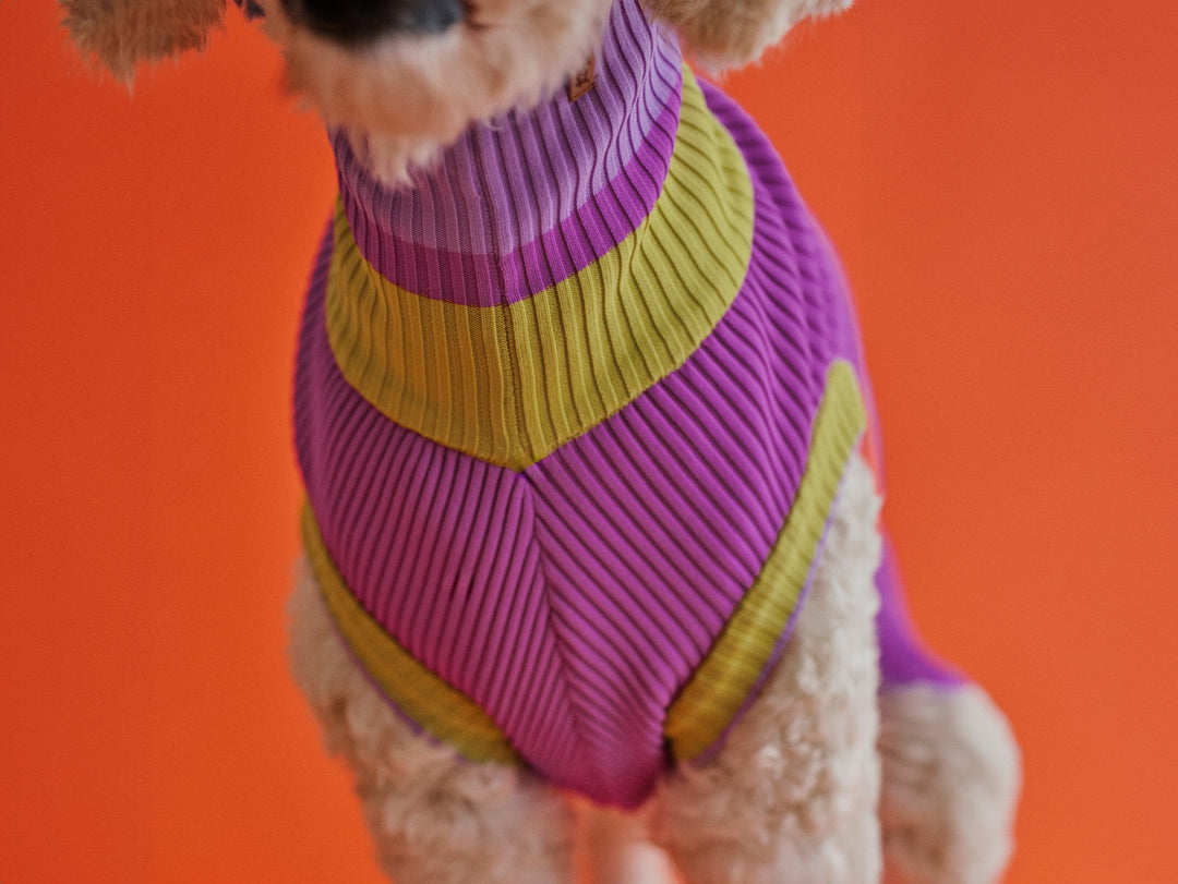 THE GLOW JUMPER - hochelastischer Neon Hundepullover - lumiies - high visibility