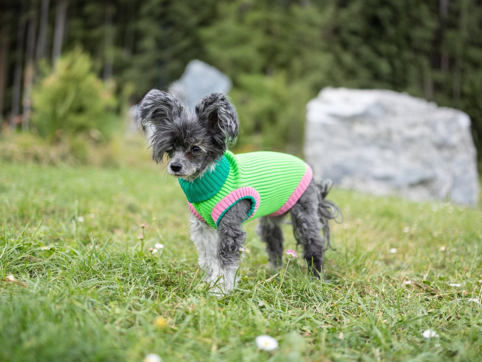 THE GLOW JUMPER - hochelastischer Neon Hundepullover - lumiies - high visibility