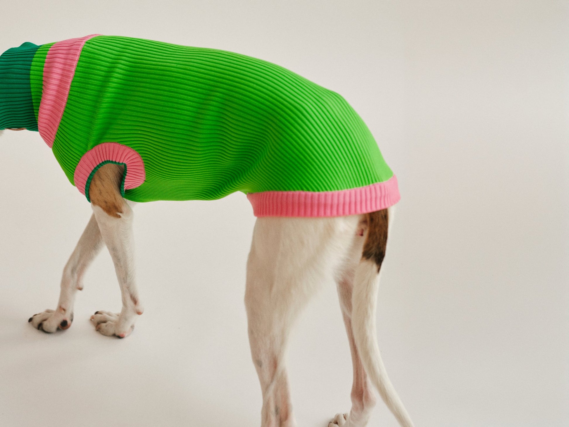 THE GLOW JUMPER - hochelastischer Neon Hundepullover - lumiies - high visibility