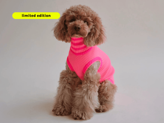 Neon Pink Hundepullover Glow Jumper – gestrickt, wärmend & hoch sichtbar für Dackel und Pudel
