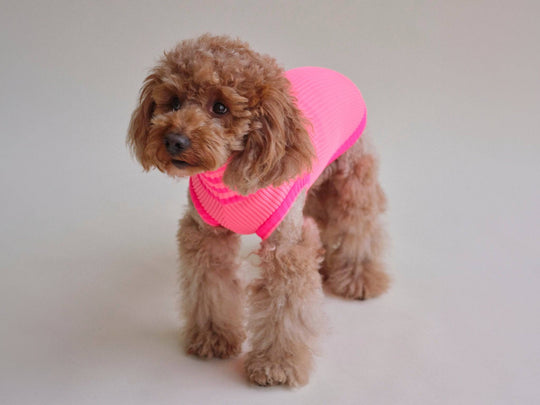Glow Jumper Neon Pink am Hund – wärmender, hochelastischer Hundepullover für kalte Tage