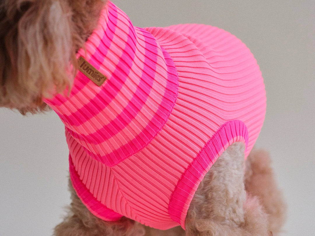 Neon Pink Hundepullover für Dackel – Glow Jumper von lumiies®, weich, warm & auffällig
