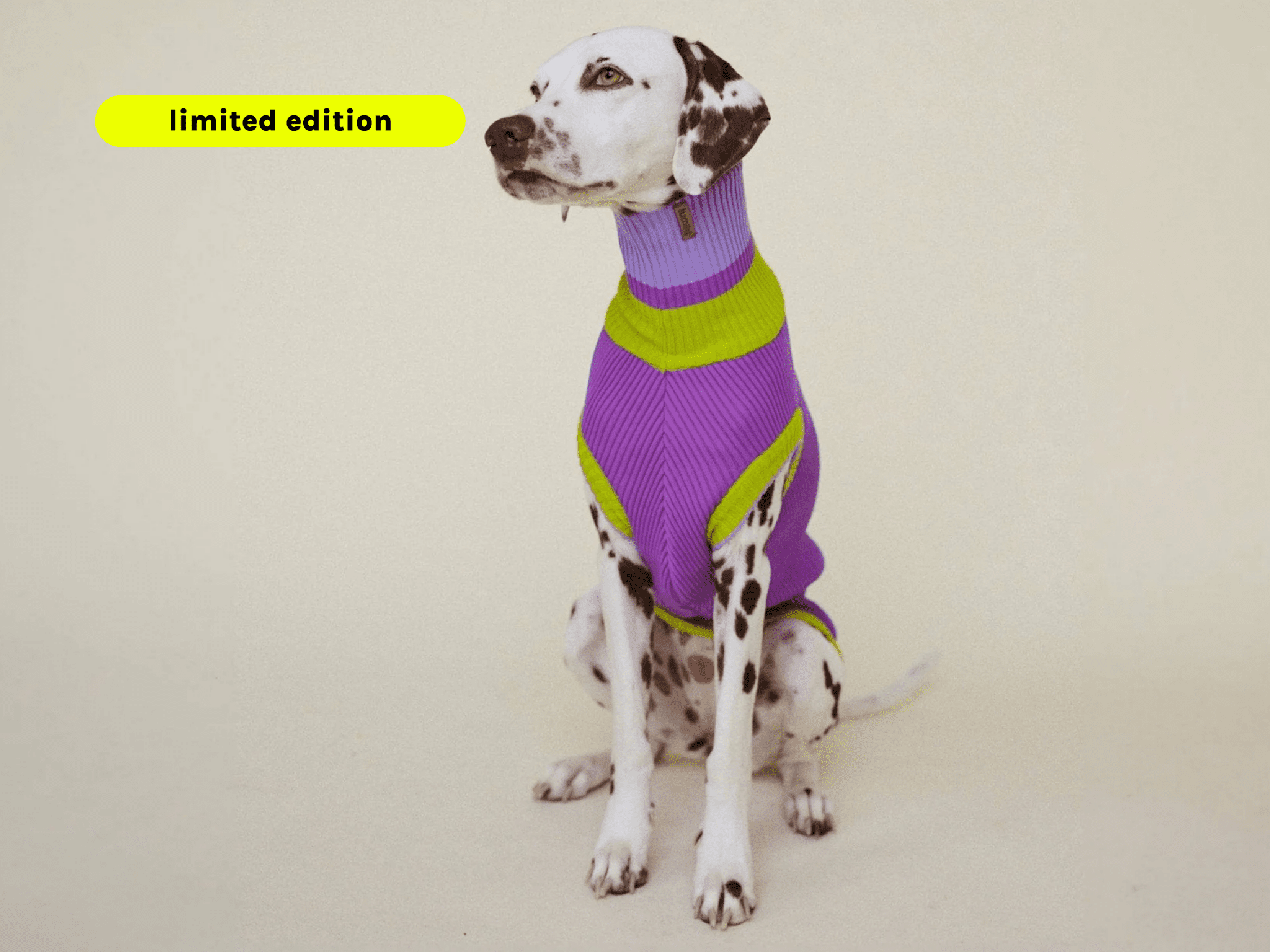 Gestrickter Neon Hundepullover in Violett – Glow Jumper von lumiies®