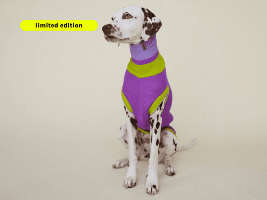 Gestrickter Neon Hundepullover in Violett – Glow Jumper von lumiies®