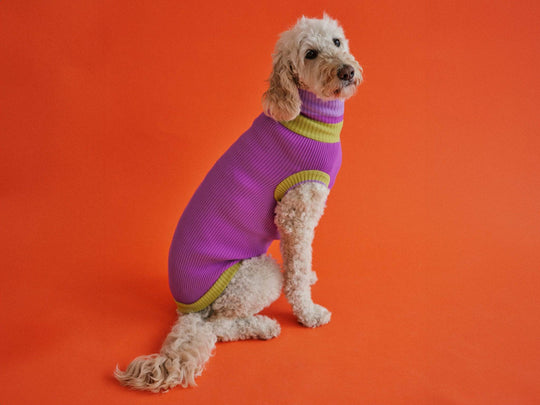 Glow Jumper Hundepullover in Neon Violett – perfekte Passform für Windhunde, Doodle, Dackel, Glow Jumper, lumiies®