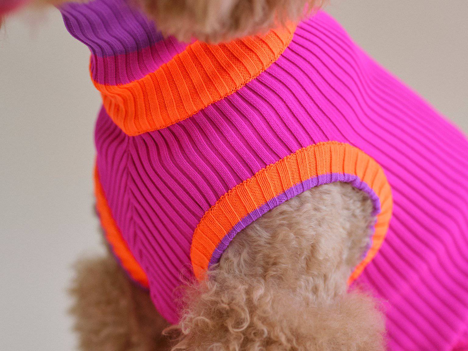 Glow Jumper (Hundepullover, Hundemantel, Dackelpullover, Dackelmantel) in leuchtenden Neonfarben, ideal für schlanke Hunde wie Dackel und Windhunde. Nachhaltige Hundebekleidung aus Recyclingmaterialien, PETA-Approved-Vegan, mit perfekter Passform, maximaler Bewegungsfreiheit und Schutz vor Kälte, Wind und Nässe. Hunderasse: Pudel, Hundepullover neon pink magenta orange getreift, gestrickt