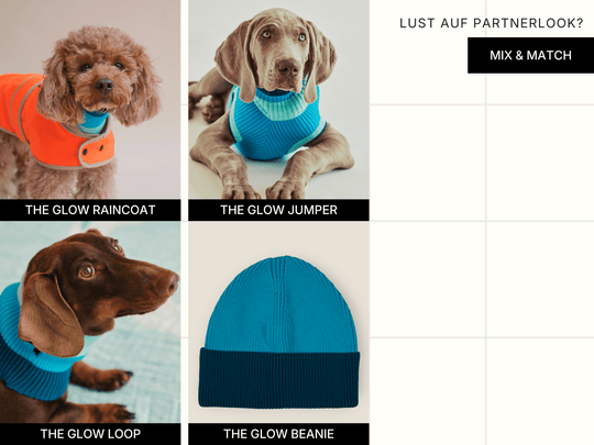 Partnerlook für Hund und Mensch