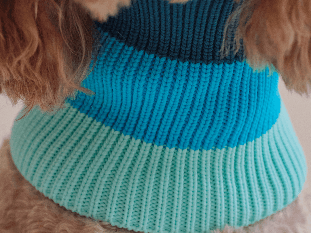 Glow Loop 2.0 in Crystal Sky – elastischer Hundeschal für Dackel, Pudel & kleine Hunde