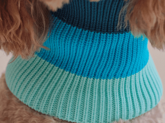 Glow Loop 2.0 in Crystal Sky – elastischer Hundeschal für Dackel, Pudel & kleine Hunde